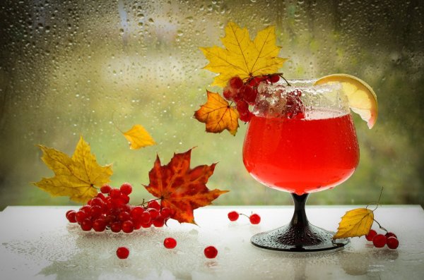 Доброе утро осенние цветы