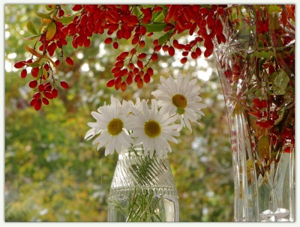 Осенний бокал