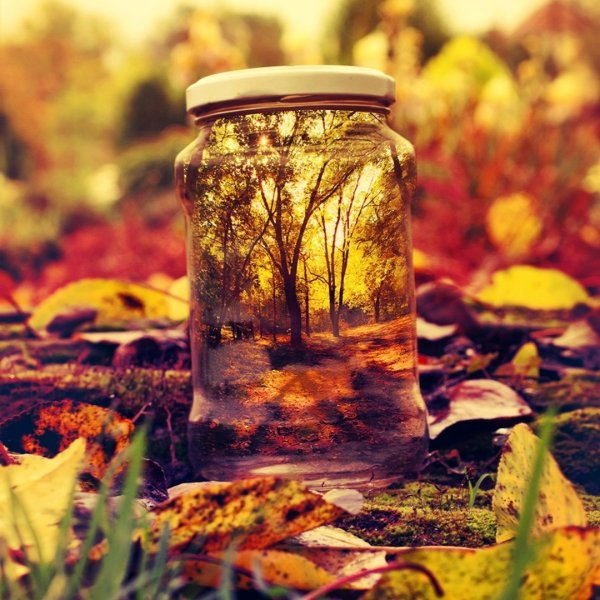 Осень время теплых объятий