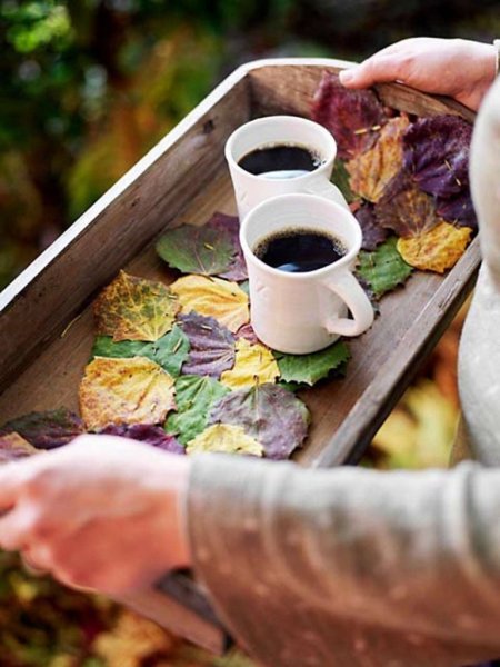 Утро осень бабье лето