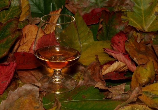 Красивый осенний натюрморт