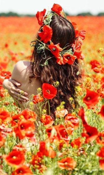 Дороти и Маковое поле