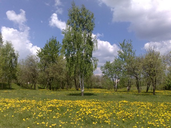 С началом лета