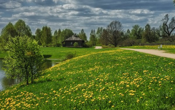 Открытки с первым днем лета