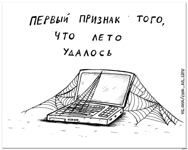 Смешные планы на лето