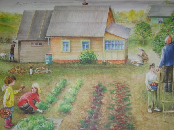 Деревенский пейзаж с огородом