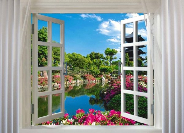 Прекрасный вид из окна