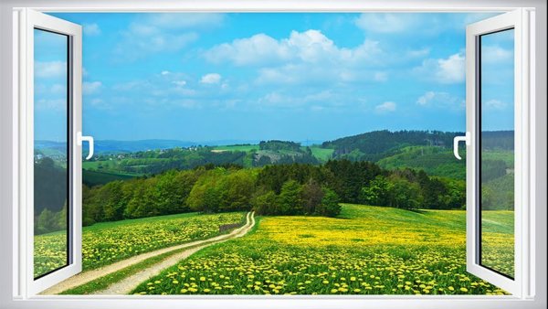 Вид из окна