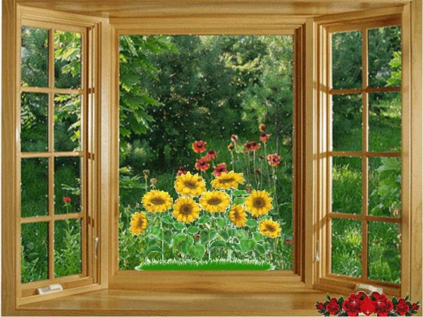 Анимация открытое окно