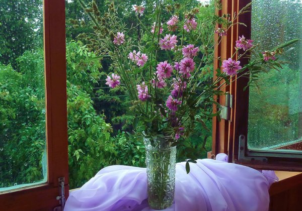 Окно распахнутое в лето