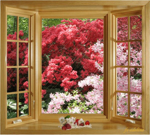 Дождливое утро летом