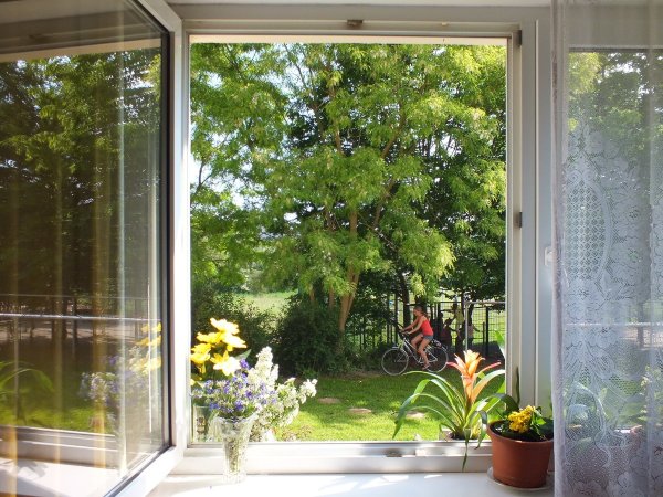 Вид за окном