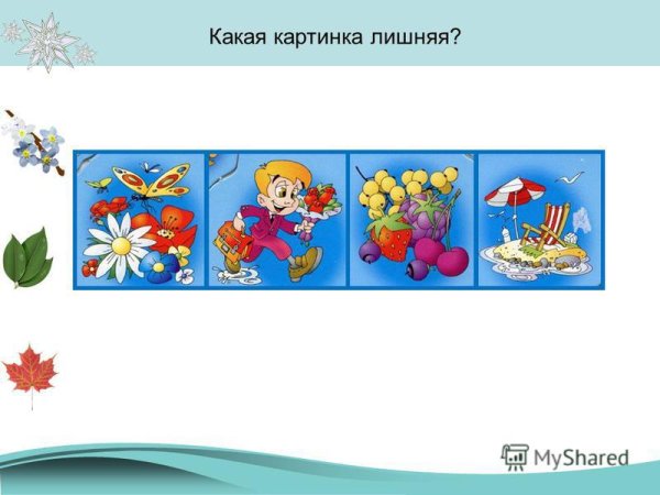 Какая картинка лишняя