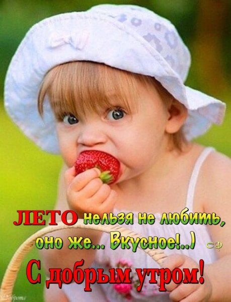 Доброе летнее утро четверга