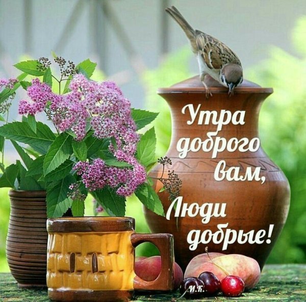 Картинки с добрым утром летние