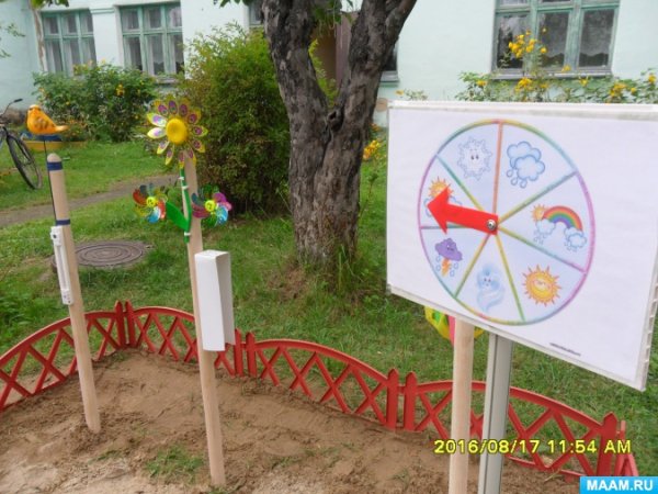 Территория ДОУ летом