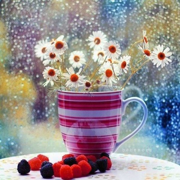 Доброе утро дождь