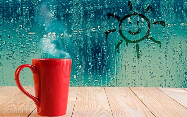 Дождливое утро летом