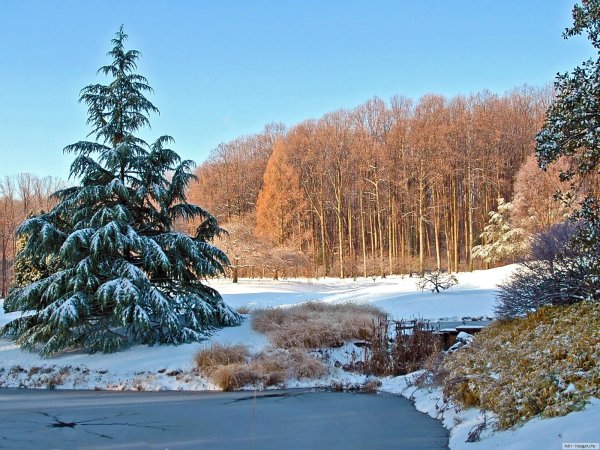 Зима в Подмосковье