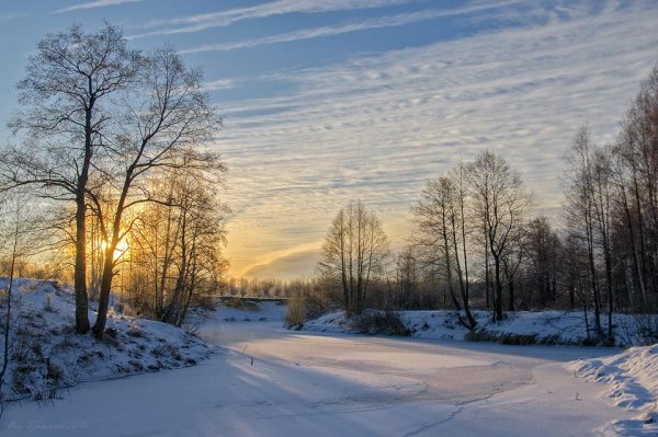 Декабрь зима природа