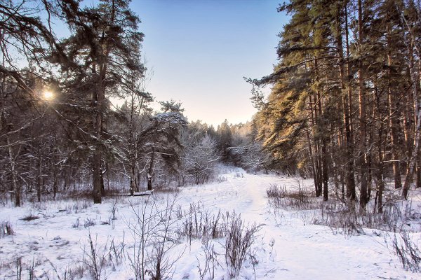 Декабрь природа