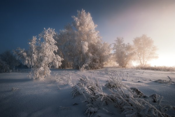 Зима декабрь