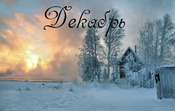 Красота зимы