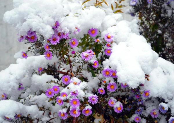 Пейзажи Федора Лашкова