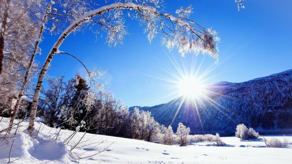 Природа зима