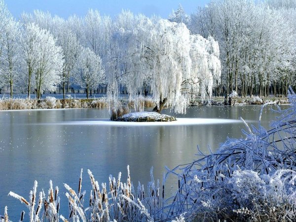 Природа по месяцам года