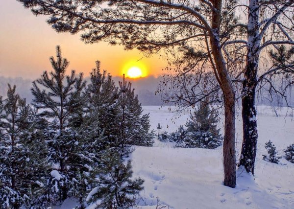 Солнечный зимний день