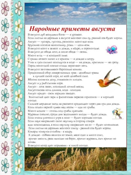 Приметы августа для детей