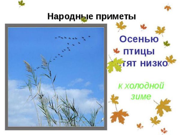 Рисунок на тему народные приметы