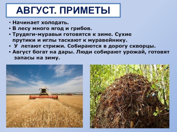 Приметы августа