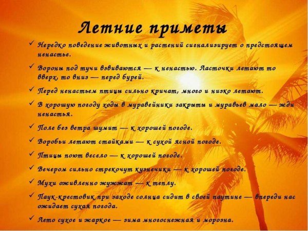 Народные приметы про лето