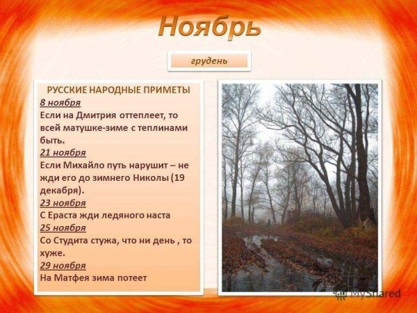Народные приметы ноября