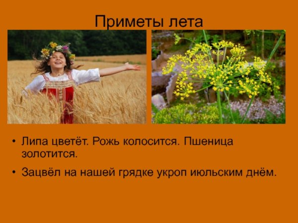 Приметы о лете