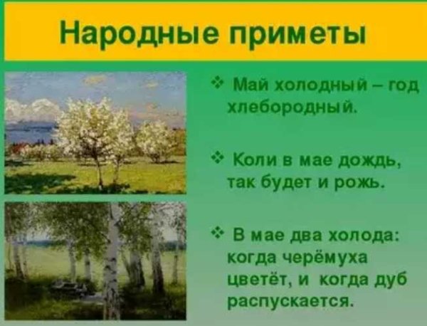 Приметы мая народные