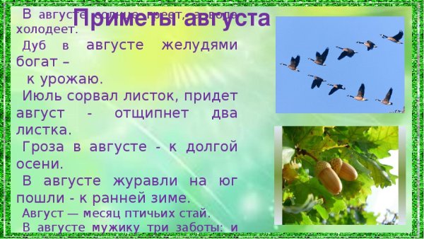 Приметы августа народные