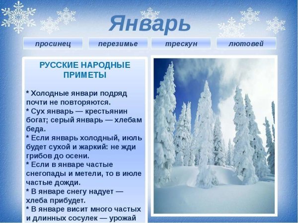 Календарь природы зима