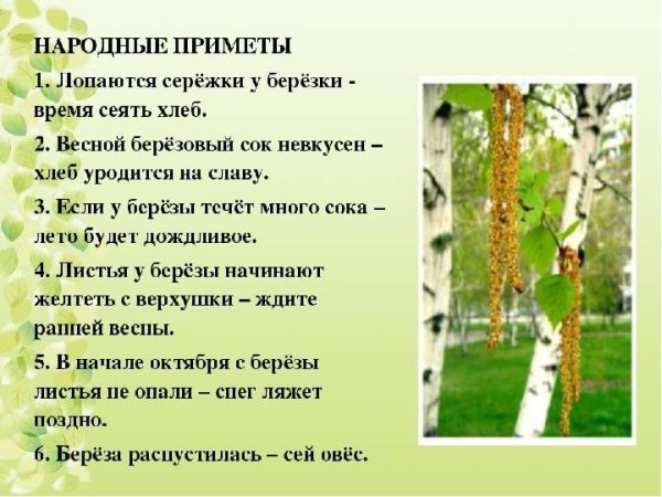 Народные приметы приметы