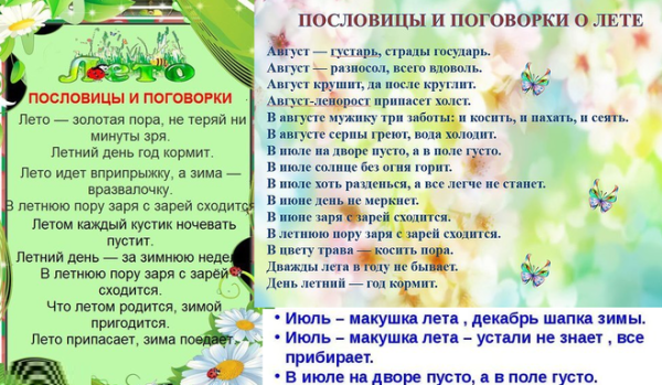 Приметы о лете для детей