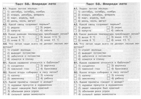 Коллаж о лете