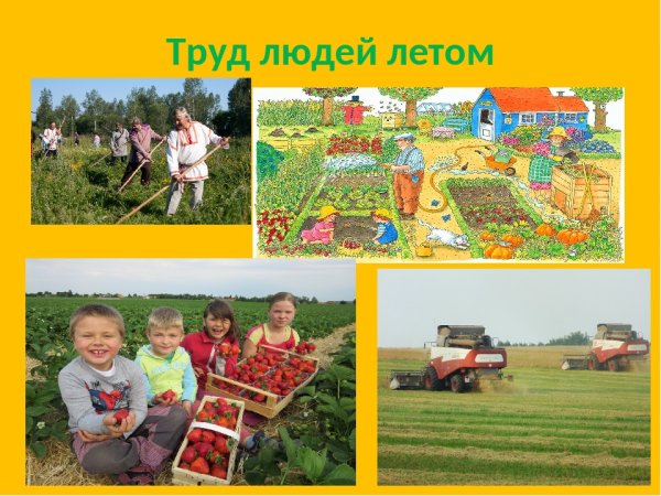 Занятия людей летом