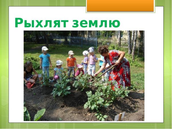 Труд людей летом