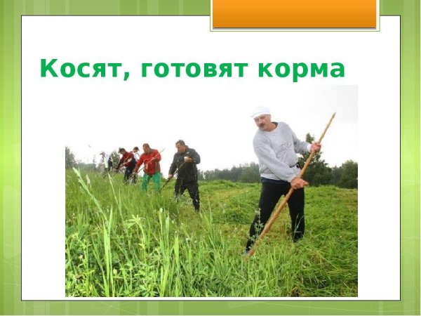 Труд людей летом