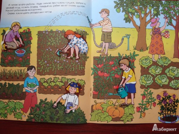 Сад огород для дошкольников