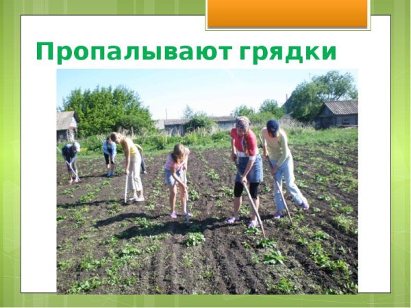 Труд людей летом