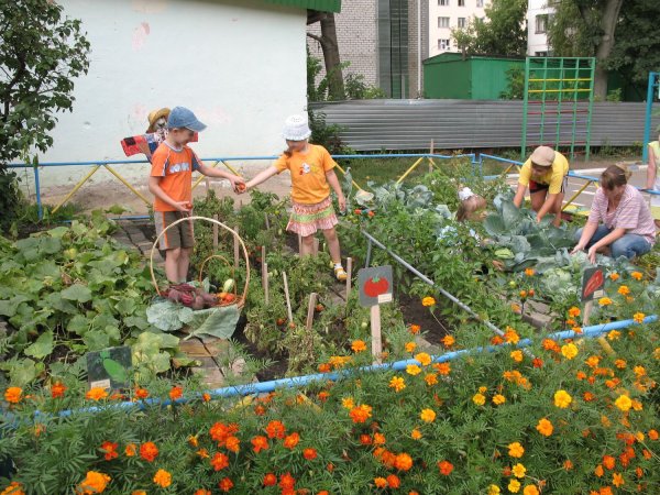 Труд на участке в детском саду