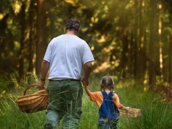 Иллюстрации семейные прогулки с детьми